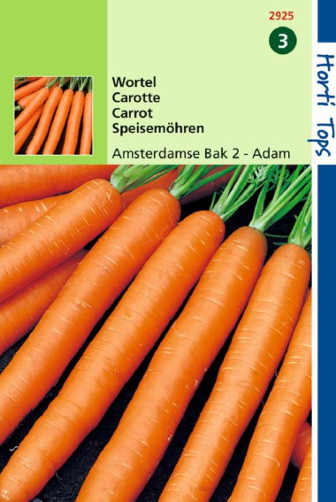 Carrot Amsterdam Bak 2 ADAM(Daucus) 5000 seeds